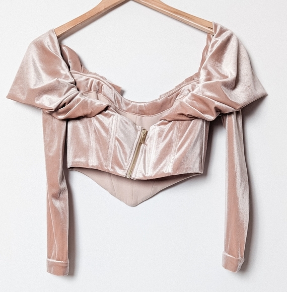 HOUSE OF CB Holly Top Blush Pink Velvet Long Sleeve Corset S Small - Picture 8 of 11